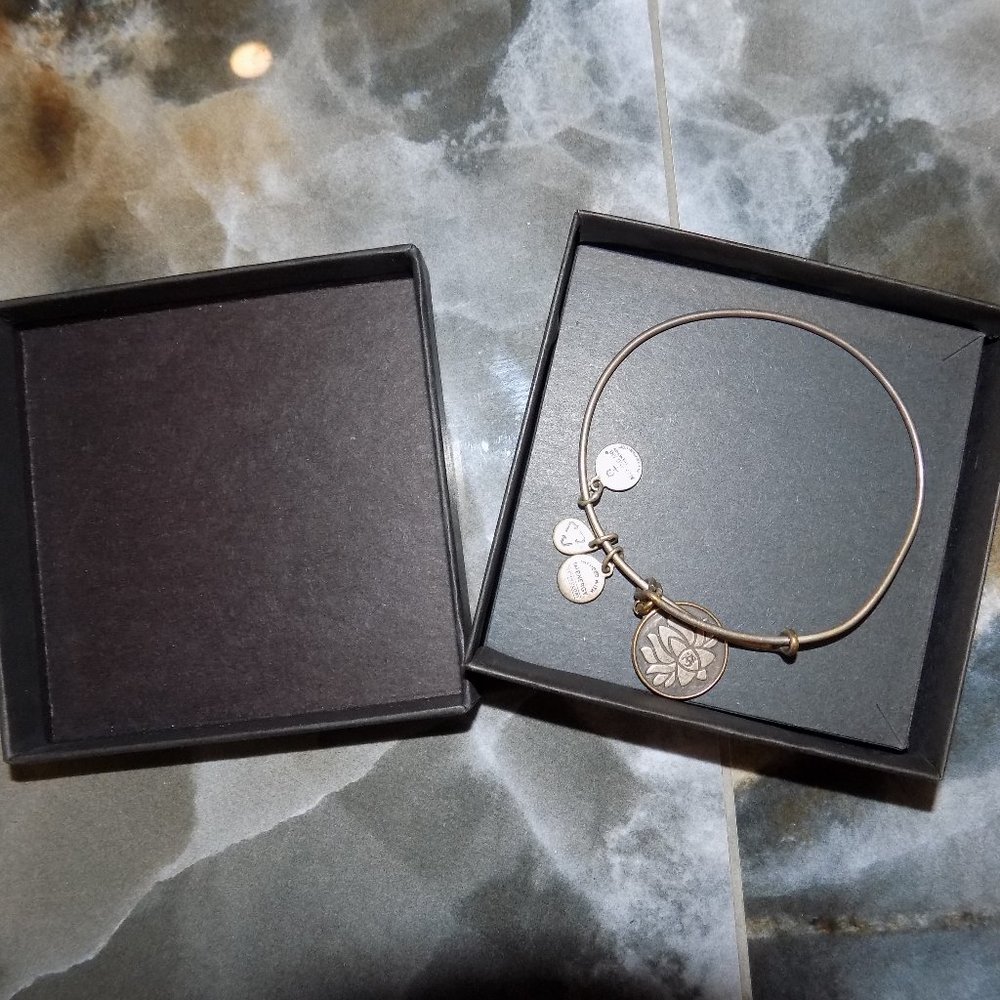 Alex And Ani Energy Aum Om Lotus Charm Rafaelian Silver Bangle Bracelet